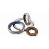 skf 1105x1160x25 HDS1 R Radial shaft seals for heavy industrial applications