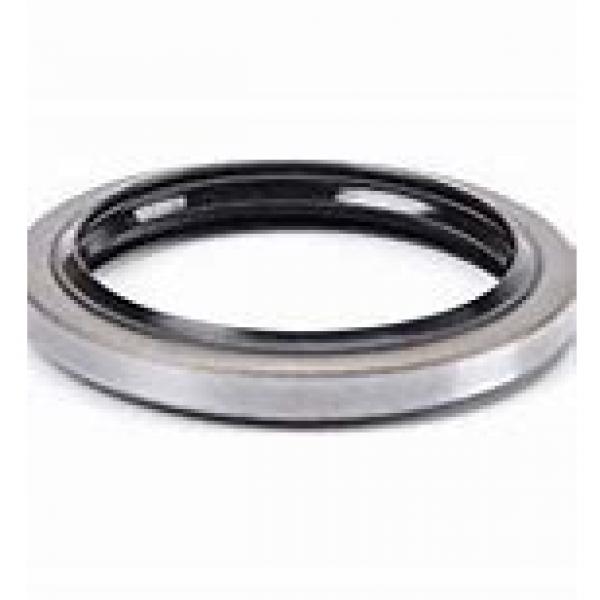 skf 1000250 Radial shaft seals for heavy industrial applications #2 image