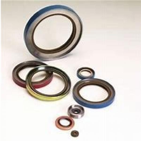 skf 1000110 Radial shaft seals for heavy industrial applications #2 image